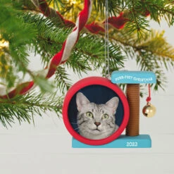 Hallmark Purr-fect Christmas 2023 Photo Frame Ornament 9 Hallmark Purr-fect Christmas 2023 Photo Frame Ornament -Hallmark Cat Scratcher Toy Picture Frame Keepsake Ornament 1599QGO2597 02