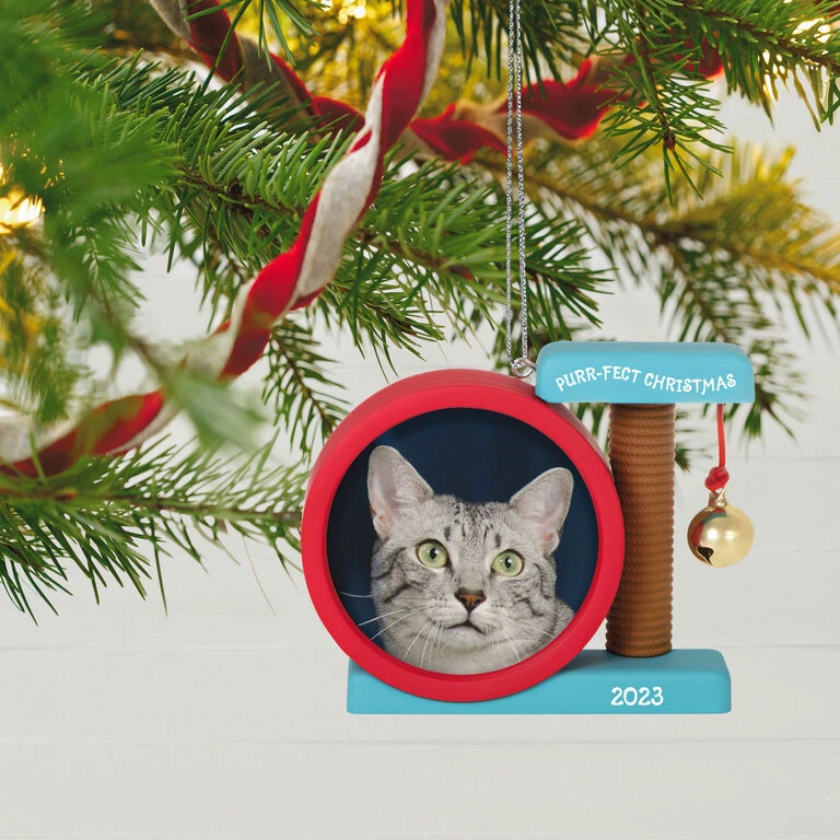 Hallmark Purr-fect Christmas 2023 Photo Frame Ornament 4 Hallmark Purr-fect Christmas 2023 Photo Frame Ornament - Image 2