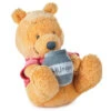 Hallmark Disney Baby Winnie The Pooh Wobble And Chime Stuffed Animal 1 Hallmark Disney Baby Winnie The Pooh Wobble And Chime Stuffed Animal -Hallmark Disney Baby Winnie the Pooh Wobble and Chime Plush 1BBY4805 01