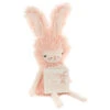 Hallmark MopTops Angora Bunny Stuffed Animal With You Are Loved Board Book 2 Hallmark MopTops Angora Bunny Stuffed Animal With You Are Loved Board Book -Hallmark MopTops Plush Bunny Stuffed Animal Board Book 1KID1531 01