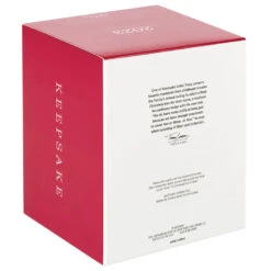 Hallmark The Peanuts® Gang Christmastime Is Here Musical Ornament With Motion 12 Hallmark The Peanuts® Gang Christmastime Is Here Musical Ornament With Motion -Hallmark Peanuts Gang Ice Skating Keepsake Ornament 3999QXI7037 05