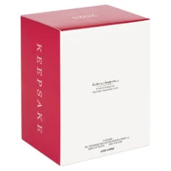 Hallmark Star Wars: Return Of The Jedi™ A Curious Encounter On Endor™ Ornament 12 Hallmark Star Wars: Return Of The Jedi™ A Curious Encounter On Endor™ Ornament -Hallmark Return of the Jedi Wicket Ewok Keepsake Ornament 2699QXI7097 05