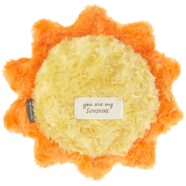 Hallmark Sunshine Recordable Plush, 10" 4 Hallmark Sunshine Recordable Plush, 10" - Image 2